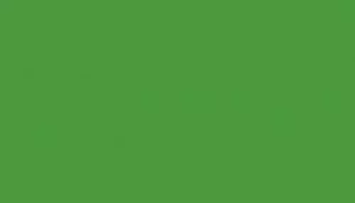 000 - spray color  green