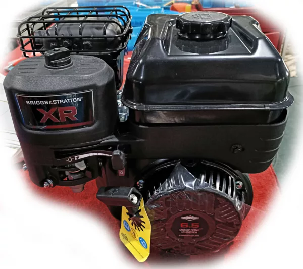 Briggs&Stratton Motor voor Victory GTS-700 Houtversnipperaar
