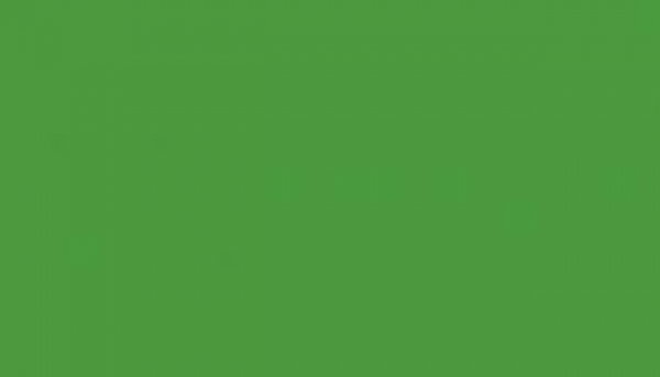 000 - spray color  green